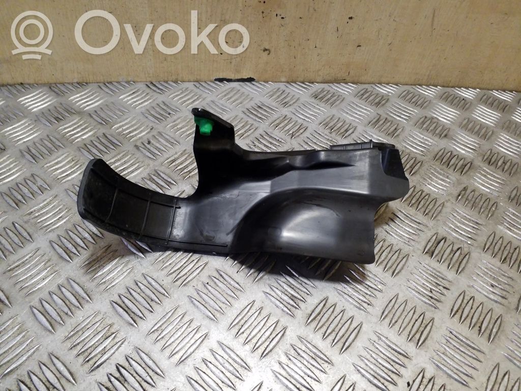 Eturoiskeläppä   31497985