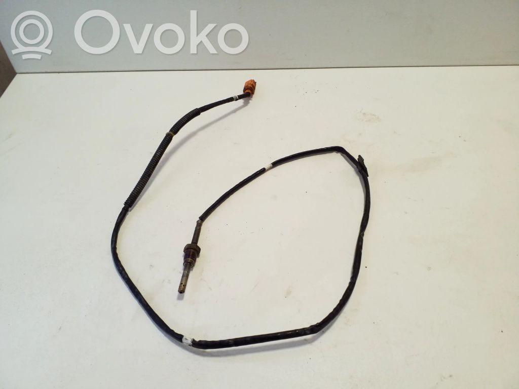 Volkswagen Amarok Exhaust gas temperature sensor 