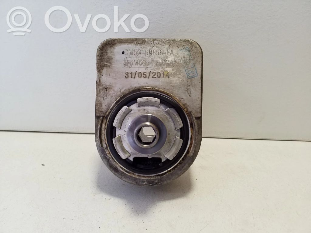 Ford Ecosport Supporto di montaggio del filtro dell’olio