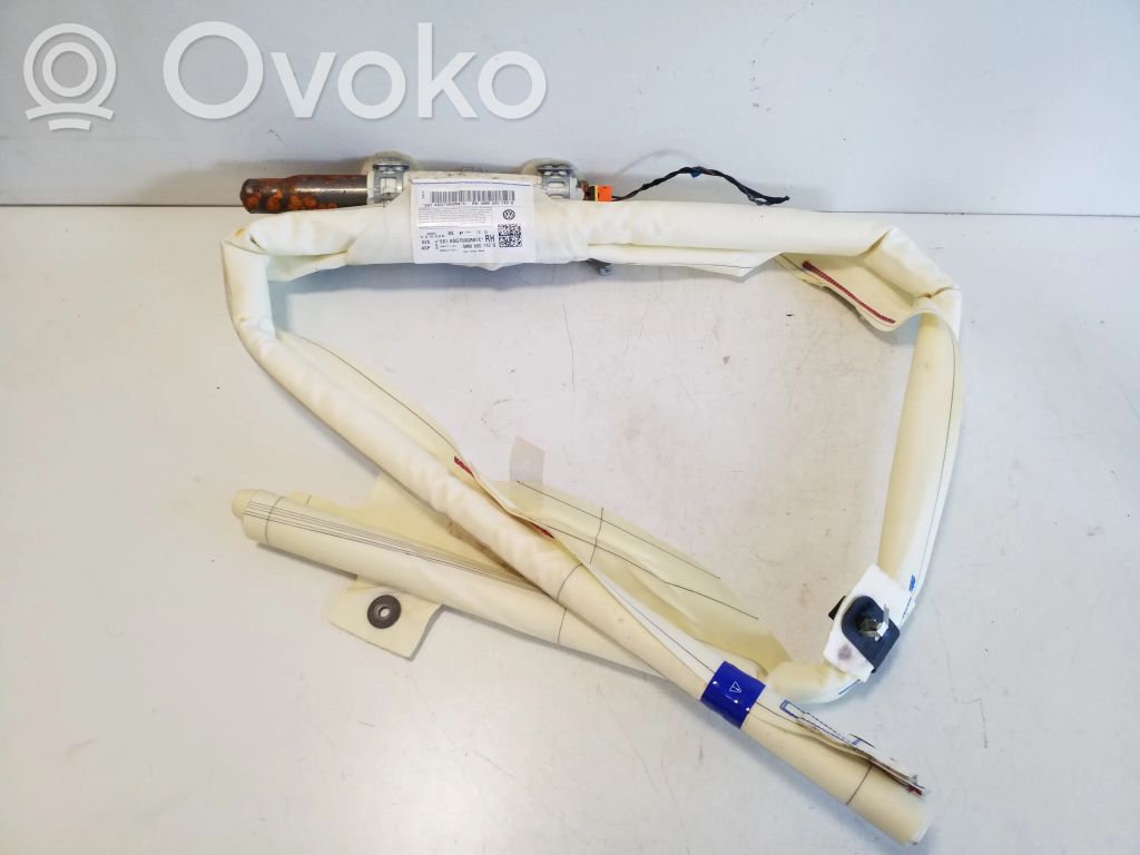 Airbag del techo   5M0880742G