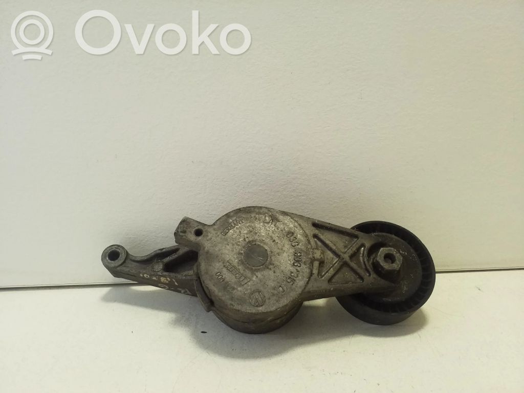 Volkswagen PASSAT B6 Tendicinghia generatore/alternatore