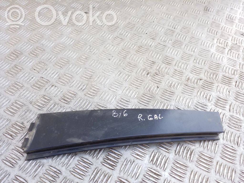 Volkswagen PASSAT B6 Rivestimento modanatura del vetro della portiera posteriore 