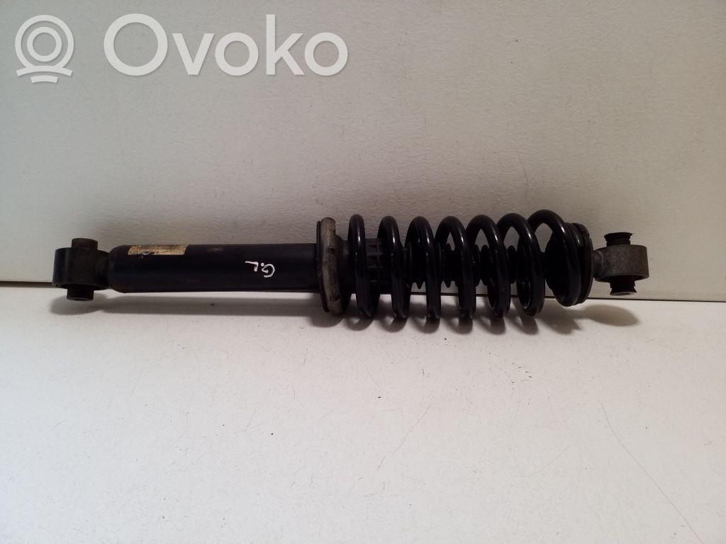 Citroen C5 Aircross Ansamblu amortizor cu arc spate 