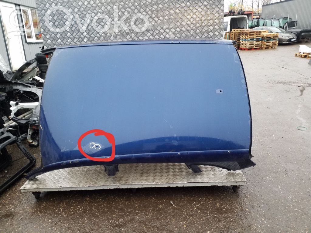 Techo