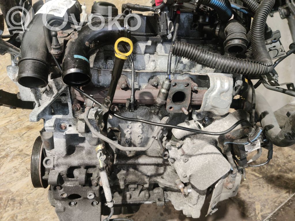 Engine   XVJD