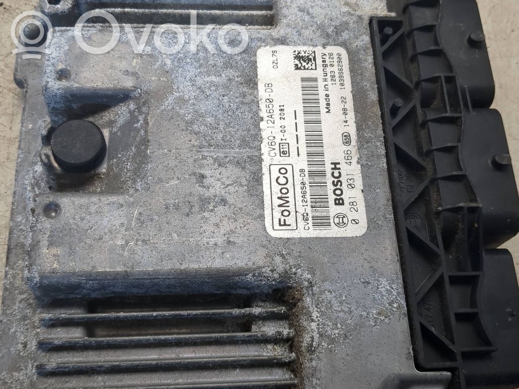 Ford Focus Engine control unit/module 