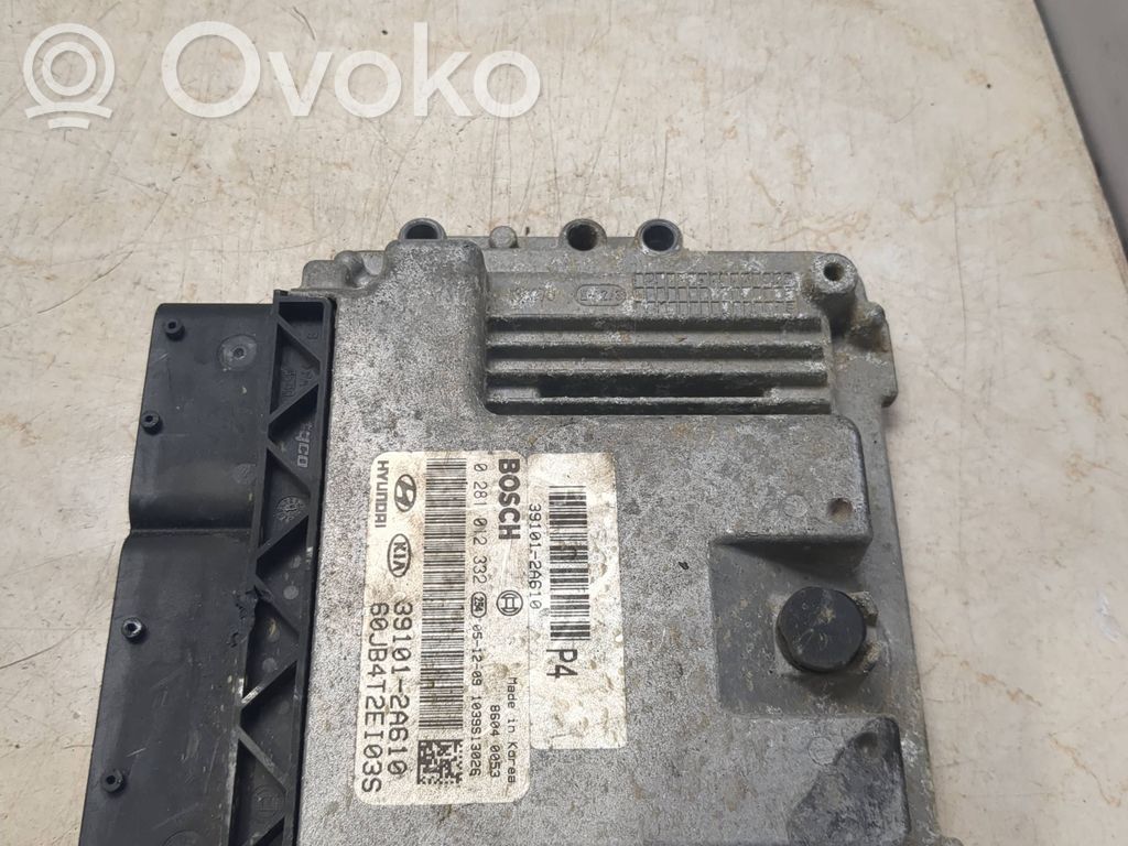 Engine control unit/module   391012A610,0281012332