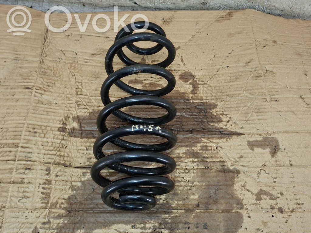 Rear coil spring