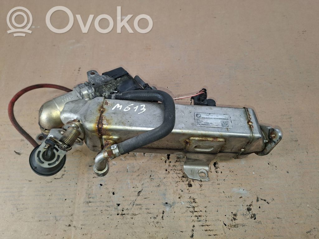 BMW 3 E90 E91 EGR dzesētājs 