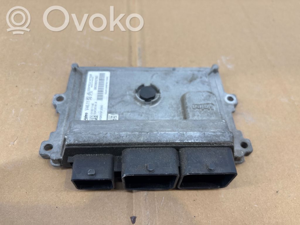 Engine control unit/module   9805895780,131831145,V29035181A