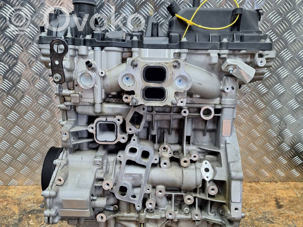 Motor   50056883