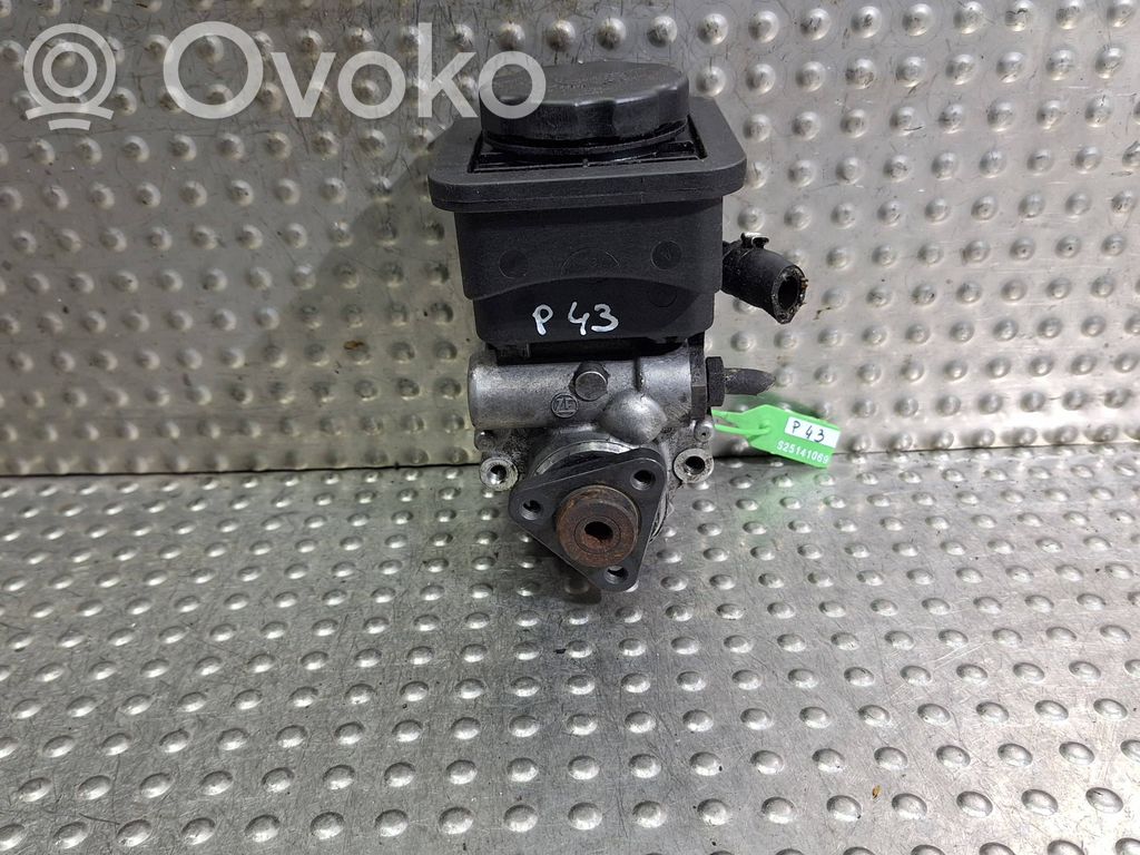 Power steering pump   1095155,7691900513