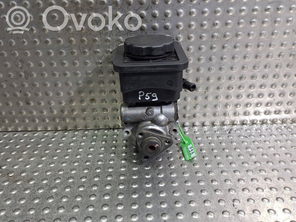 Power steering pump   1095155,7691900513