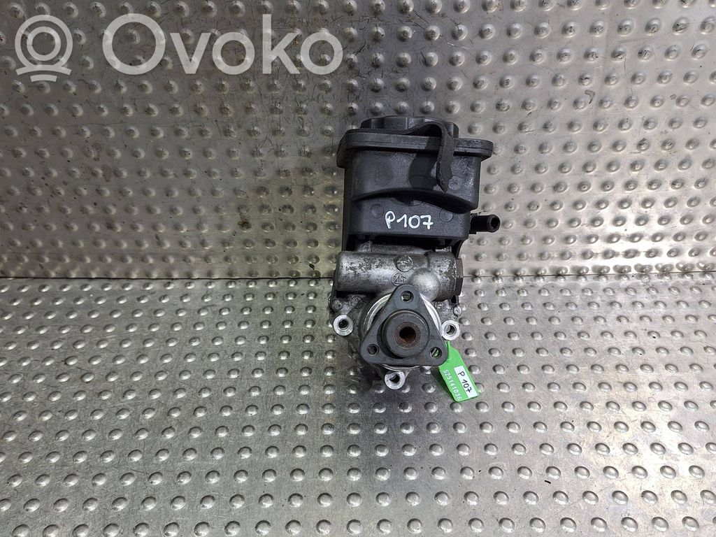 Power steering pump   1095749,7691974518