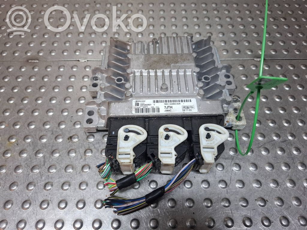 Ford Focus Engine control unit/module ECU 