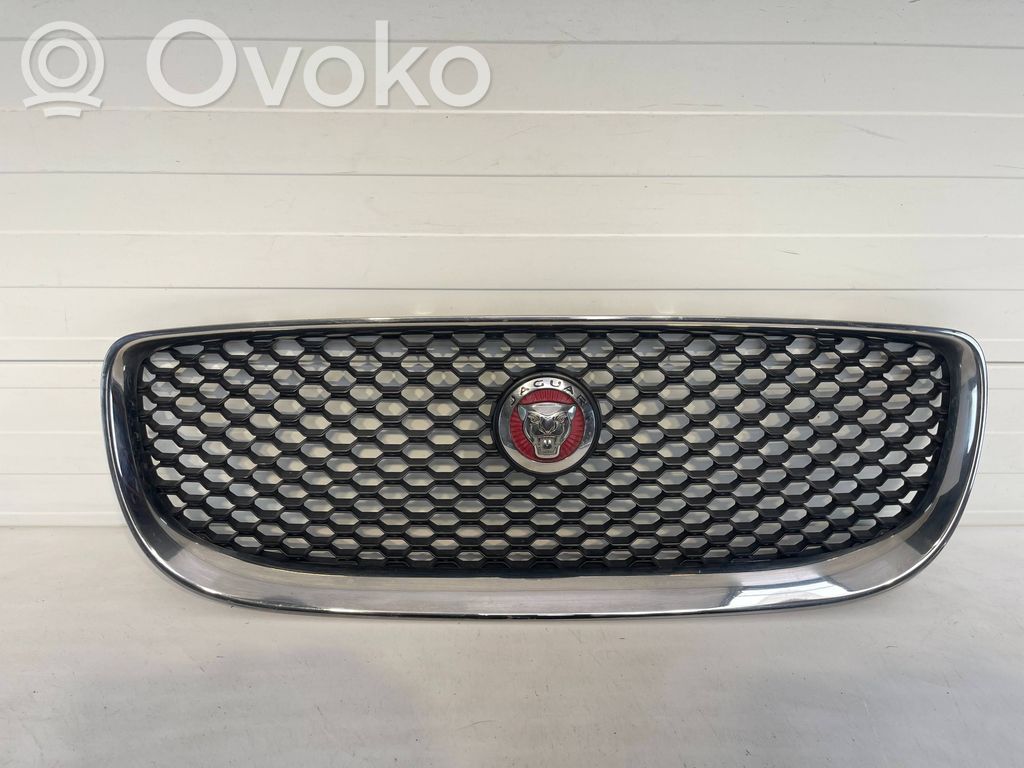 Front grill   X73018K28AA