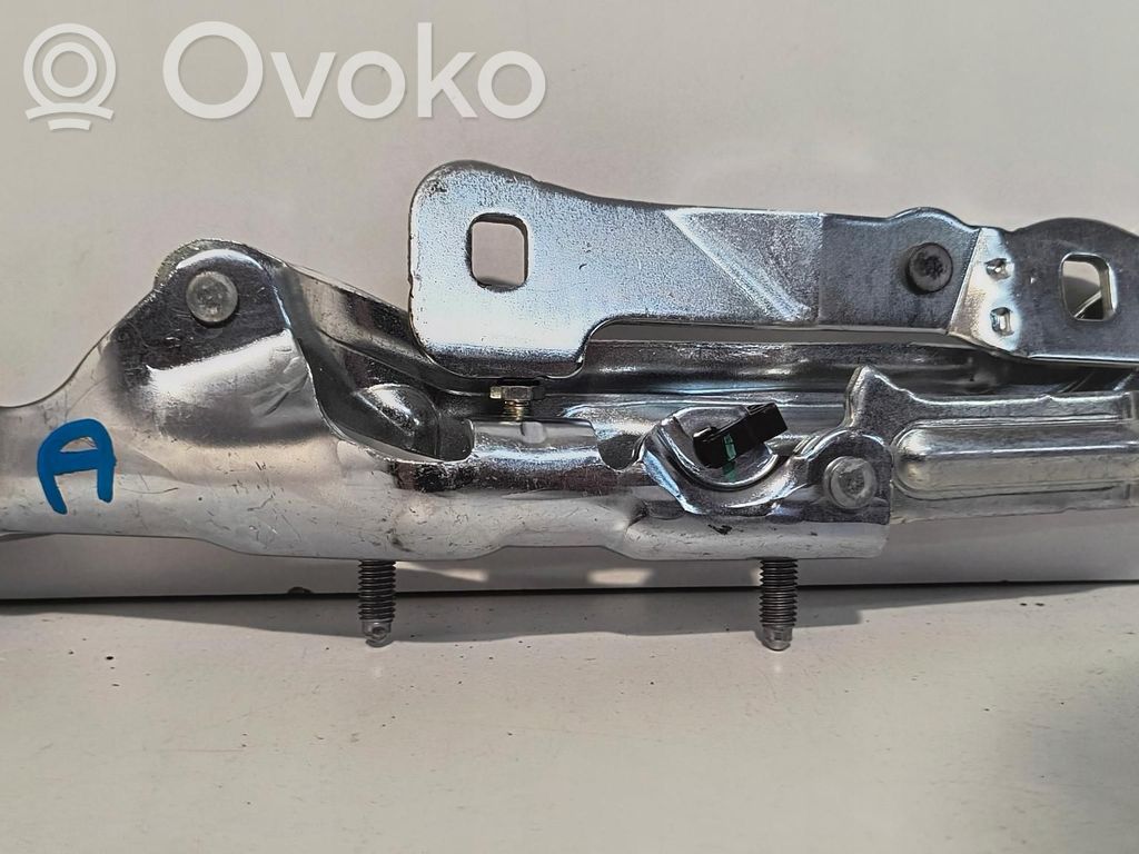 Tesla Model 3 Tailgate hinge 