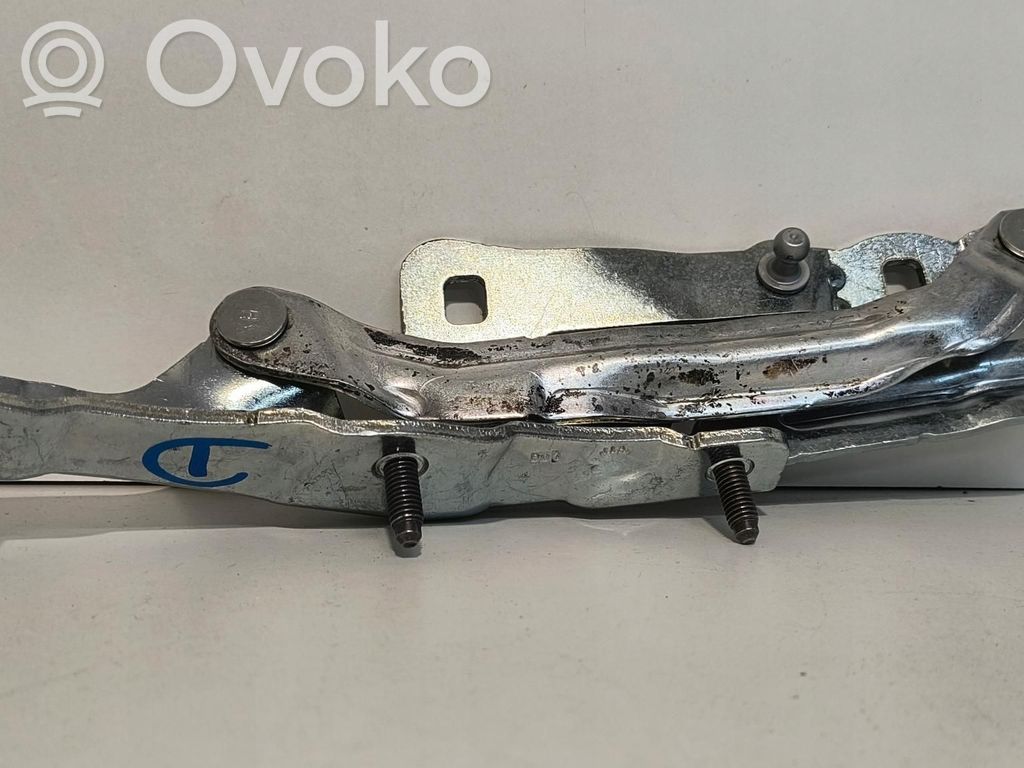 Tailgate hinge   109282000E