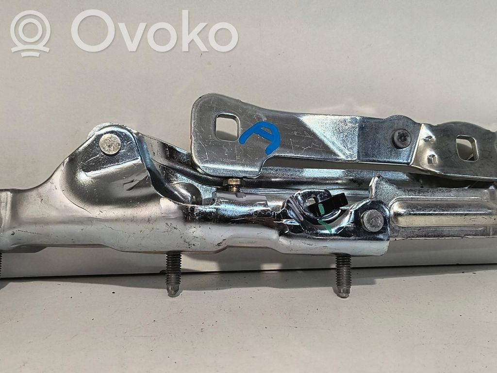 Tesla Model 3 Tailgate hinge 