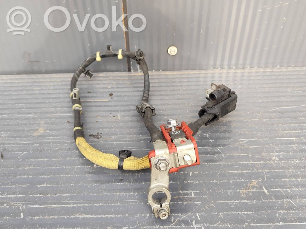 Ford Focus Cableado positivo 