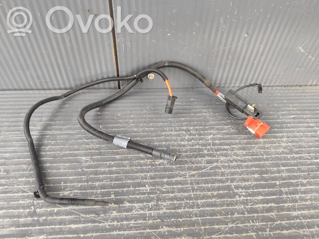 Cable positivo (batería)   6931503,10057310