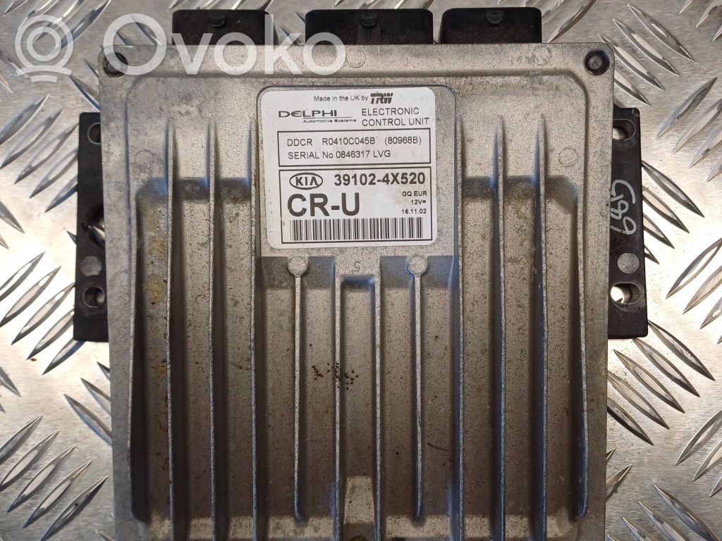 KIA Carnival Engine control unit/module 