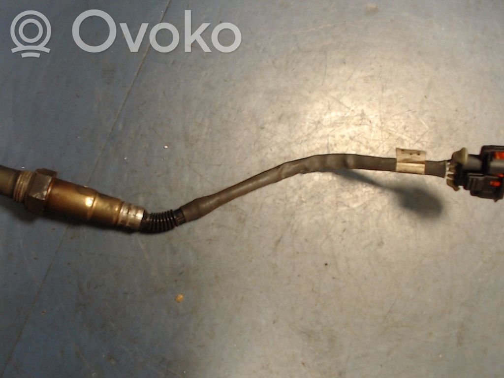 Lambda probe sensor   55562205