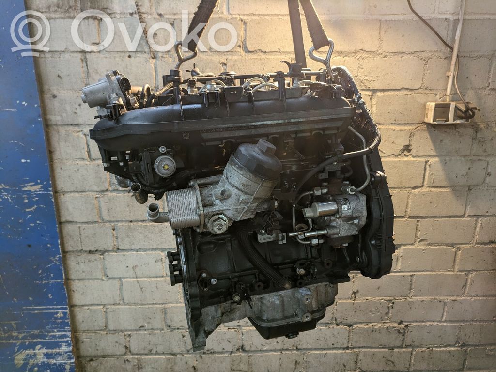 Motor   55578954,05600347,233636,A17DTC