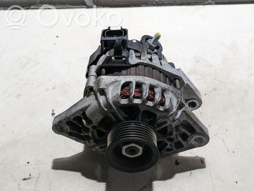 Alternador   373002B101