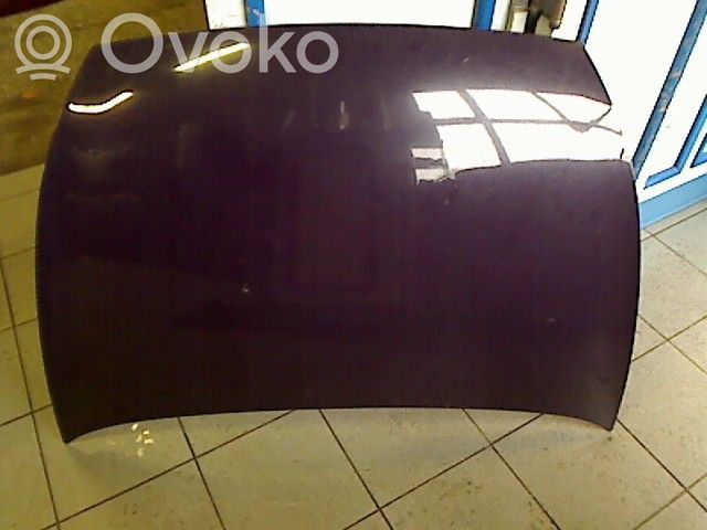 Ford Ka Motorhaube 