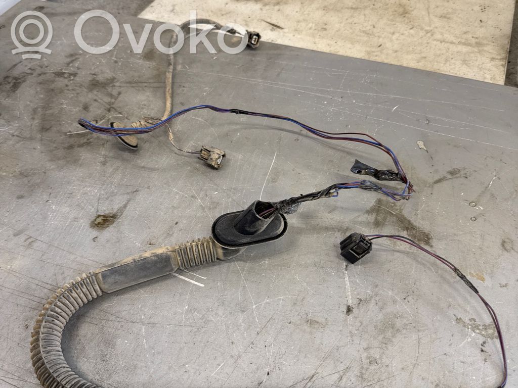 Cableado de puerta trasera   240520164R