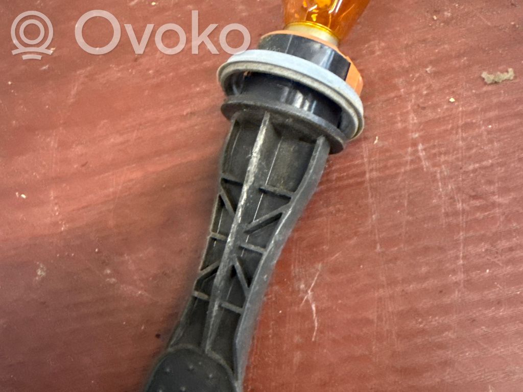 Frontblinker   5170513102L