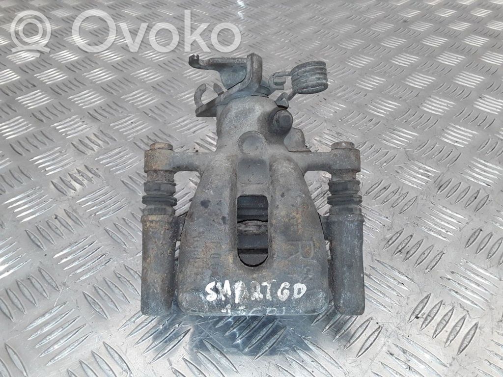 Bremssattel hinten