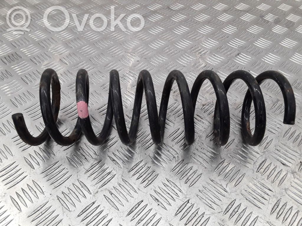Rear coil spring