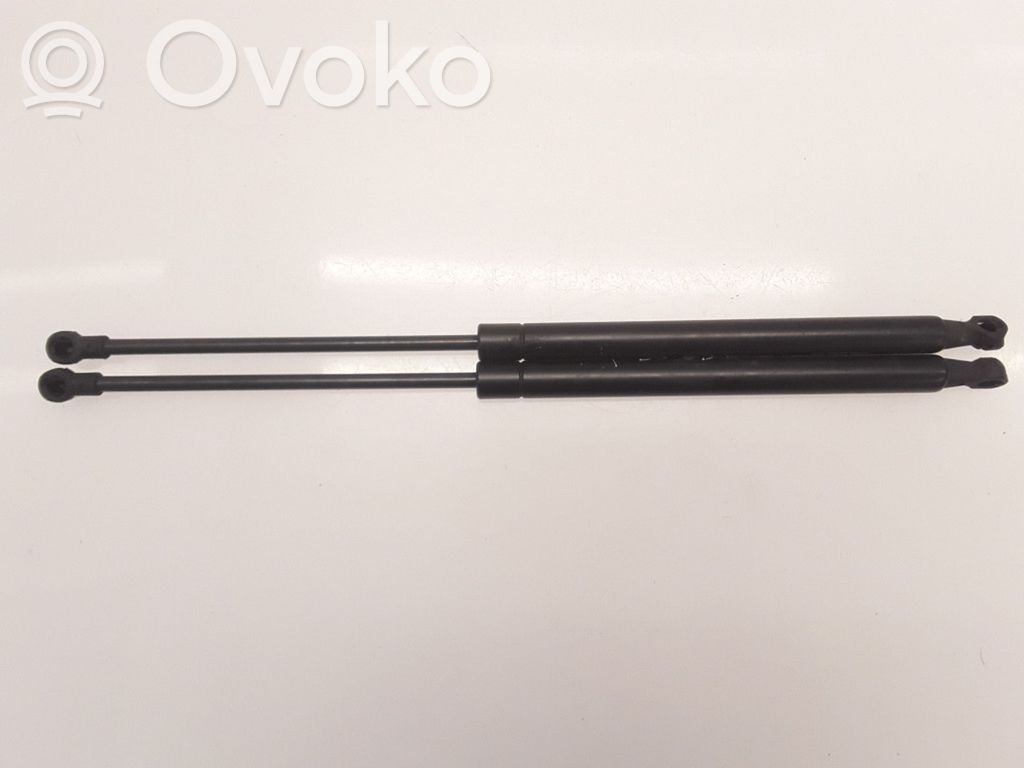 Renault Clio III Tailgate/trunk strut/damper 
