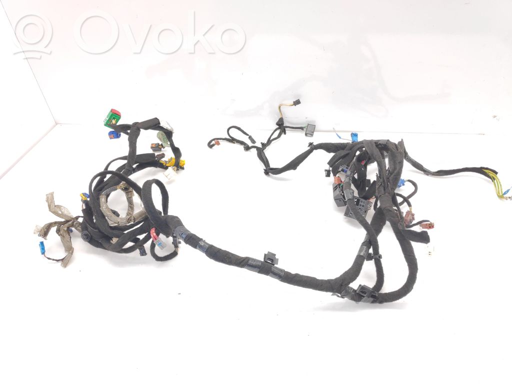 Panel wiring   9657449780,6C319304,55PZ03135