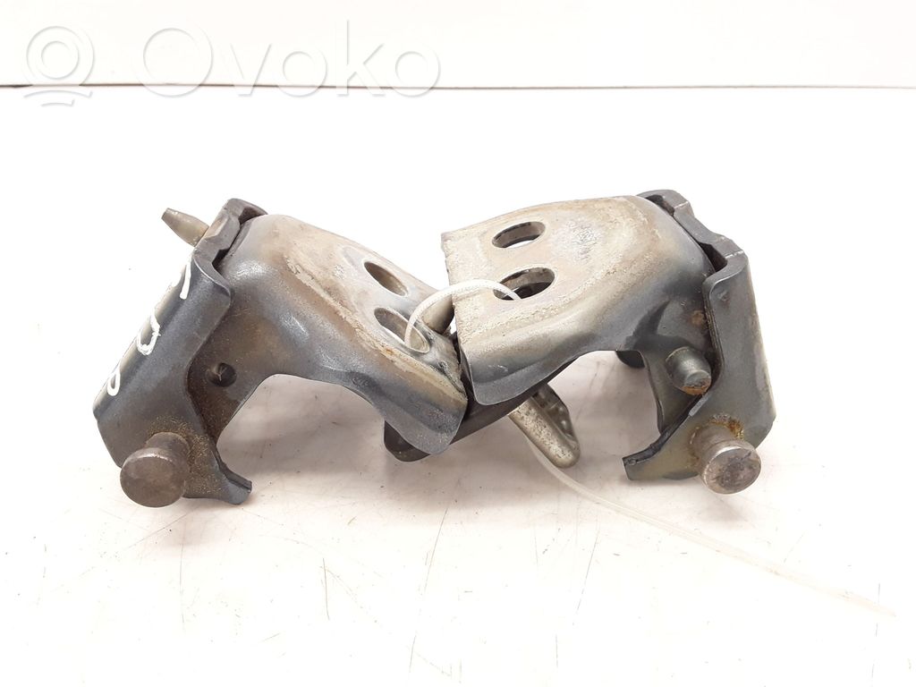 Citroen C4 Grand Picasso Rear door hinge set 