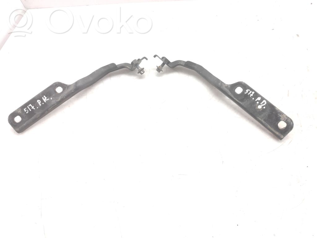 Chrysler Sebring (JS) Vyris (-iai) variklio dangčio 