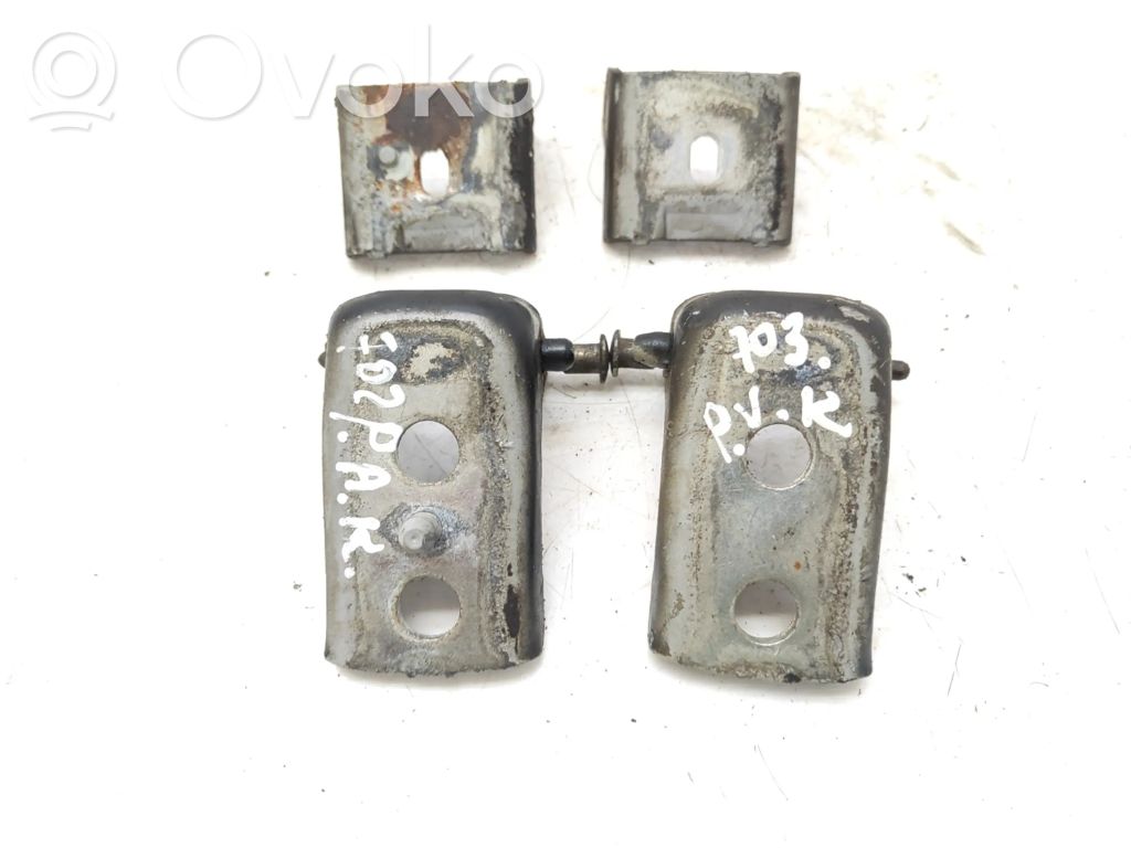 Front door hinges set   EXYB