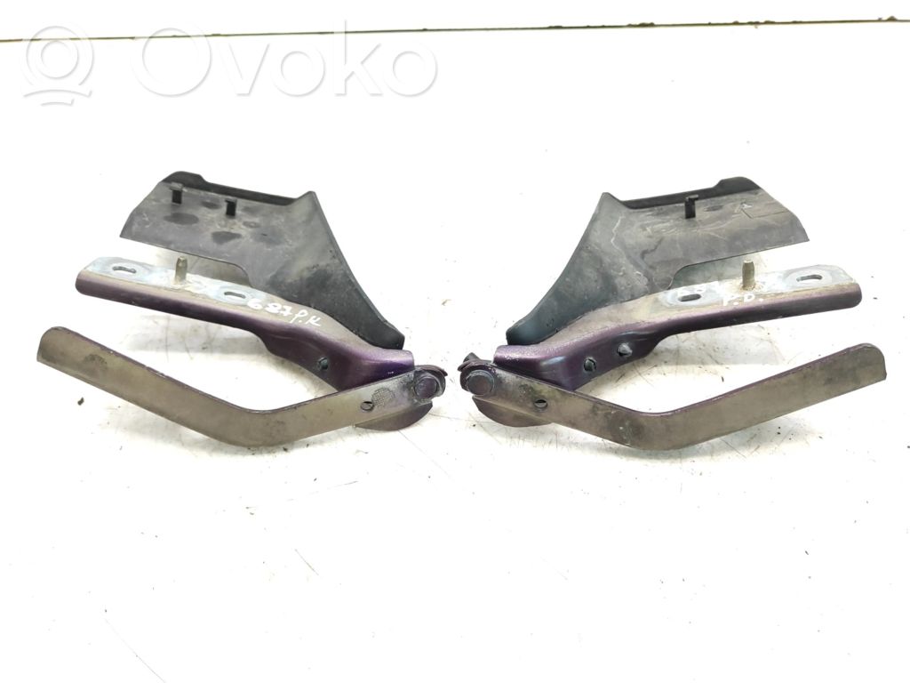 Peugeot 607 Vyris (-iai) variklio dangčio 