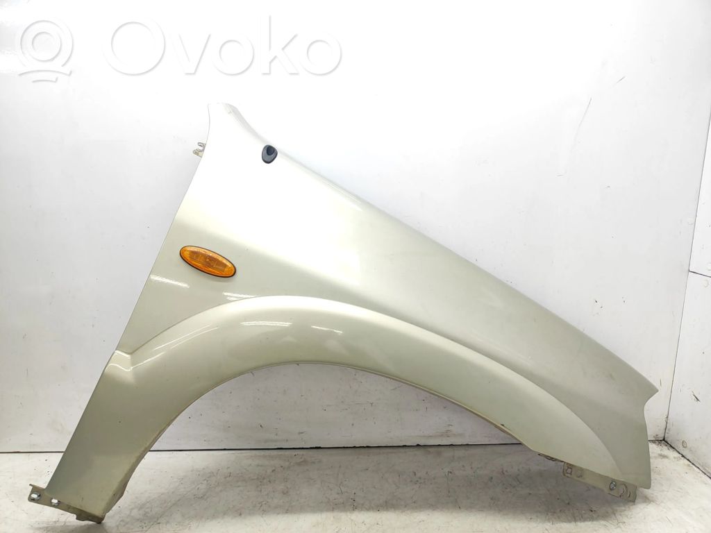 Fender