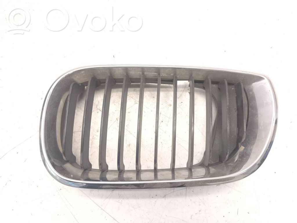 BMW 3 E46 Front grill 