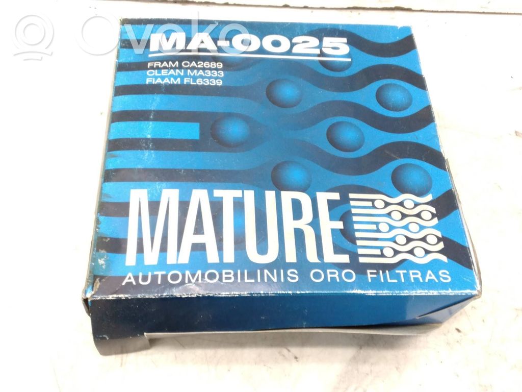 Ford Escort Air filter 