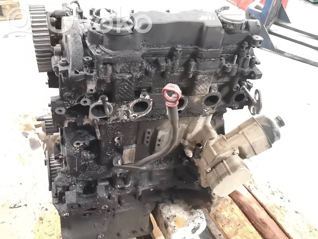 Citroen Jumpy Motor 