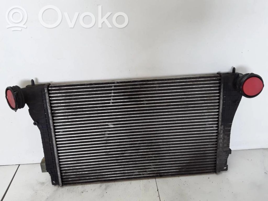 Volkswagen Golf V Interkūlerio radiatorius 