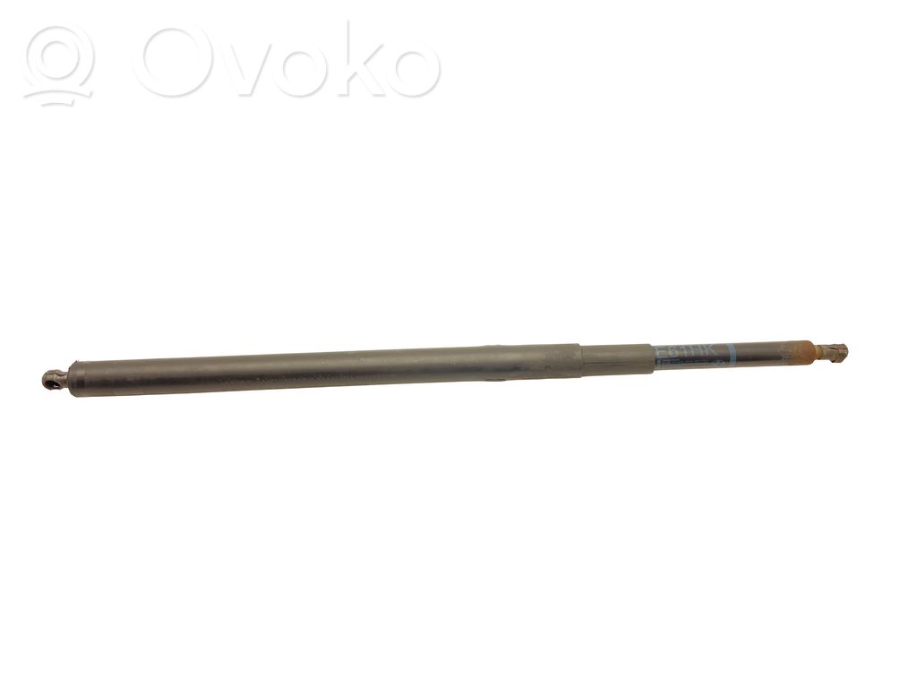 Tailgate/trunk strut/damper   7178273
