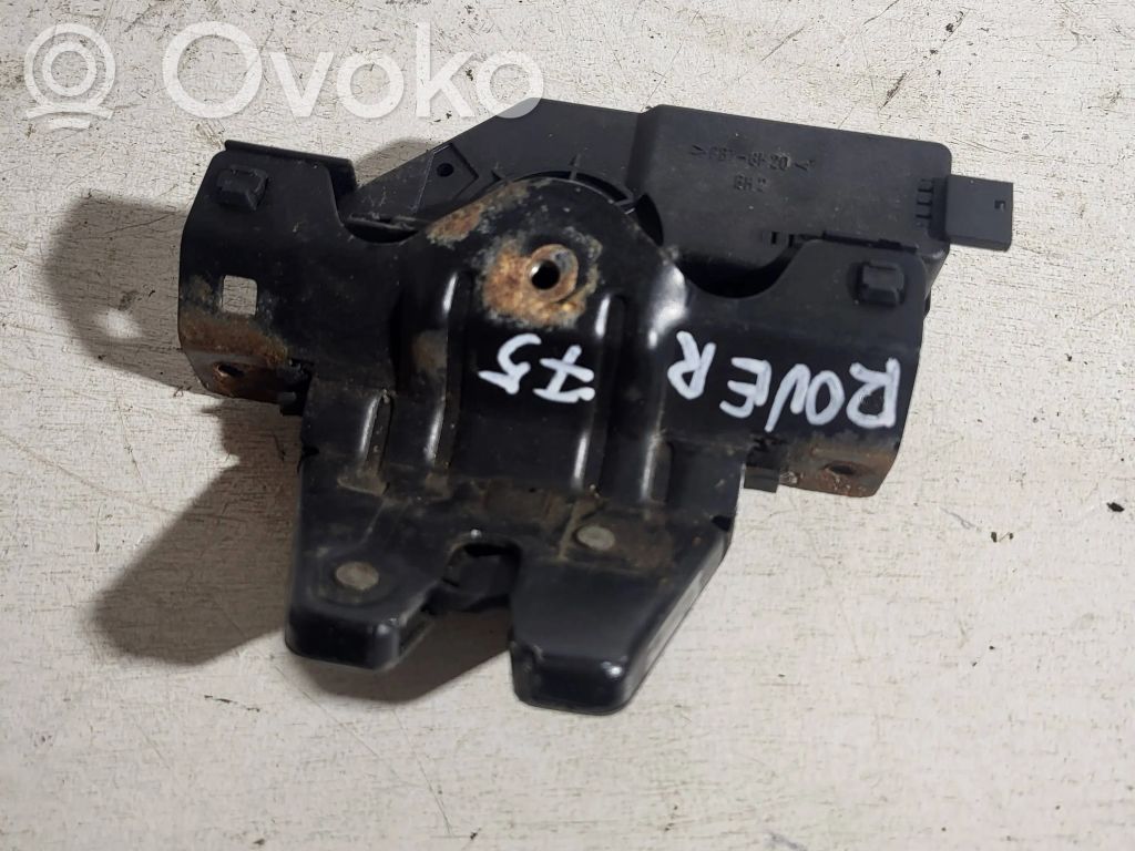 Tailgate/trunk/boot lock/catch/latch   8196401