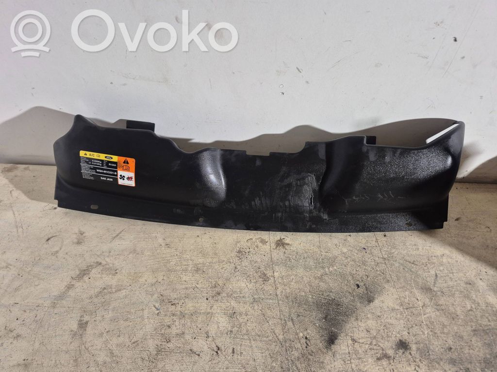 Ford Focus Отделка радиаторов 