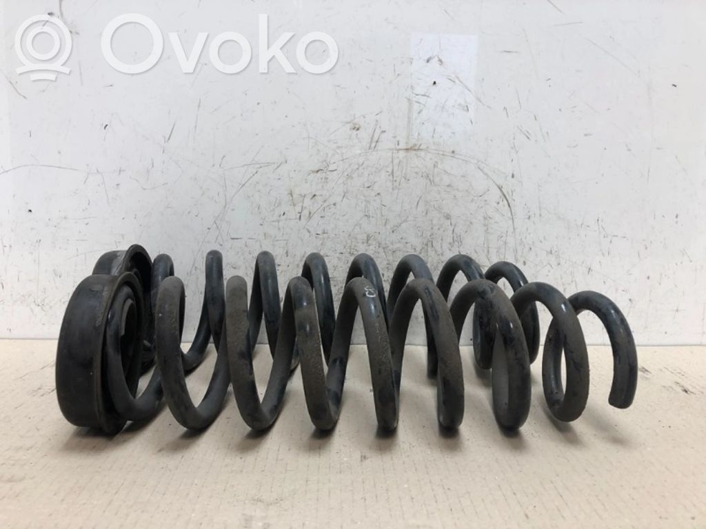 Rear coil spring