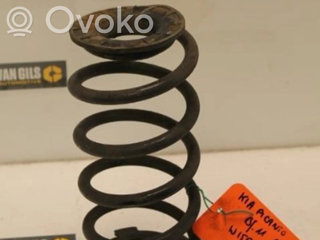 Muelle espiral trasero